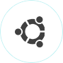 Operating System Virtualization Solutions India